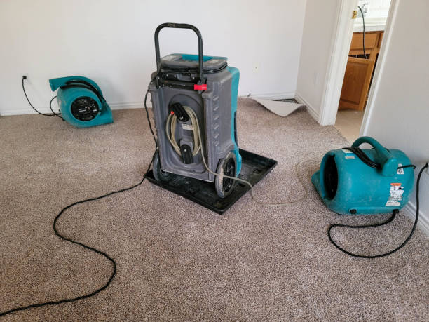 Best Flooded house restoration  in Lamar, TX