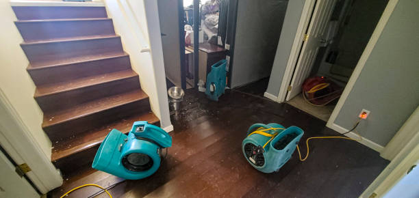 Best Emergency water damage restoration  in Lamar, TX