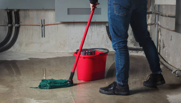 Best Flood damage cleanup  in Lamar, TX