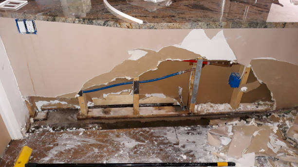 Best Professional water damage repair  in Lamar, TX
