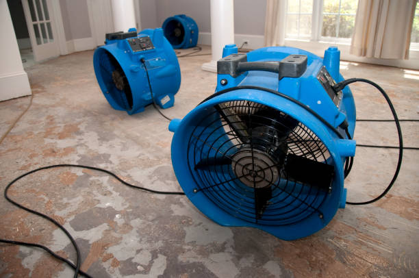  Lamar, TX Water damage restoration Pros