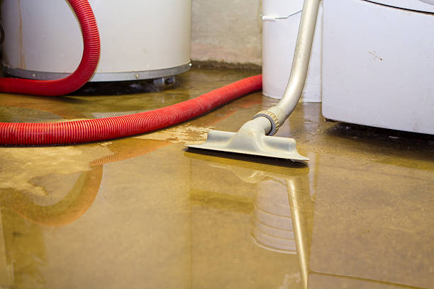 Best Water damage restoration near me  in Lamar, TX