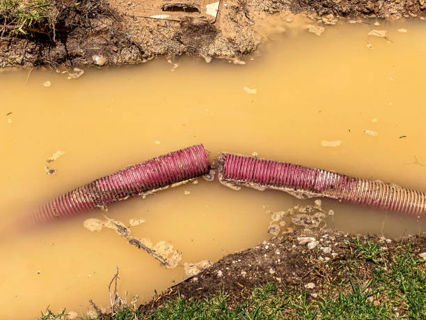 Best 24-hour water damage restoration  in Lamar, TX